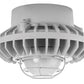 RAB HAZPLED42FF-G 42W Pendant Mount LED Hazardous Location Fixture, 5100K (Cool), 2986 Lumens, 69 CRI, Frosted Lens, Wire Guard, Natural Finish