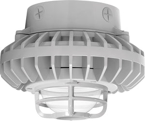 RAB HAZXLED26C-DG 26W Ceiling Mount LED Hazardous Location Fixture, 5100K (Cool), 2035 Lumen, 70 CRI, Clear Globes, Die Cast Guard,  DLC Listed, Natural Finish