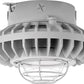 RAB HAZXLED26C-G 26W Ceiling Mount LED Hazardous Location Fixture, 5100K (Cool), 2521 Lumen, 70 CRI, Clear Globes, Wire Guard,  DLC Listed, Natural Finish