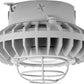 RAB HAZXLED26CF-G 26W Ceiling Mount LED Hazardous Location Fixture, 5100K (Cool), 2881 Lumen, 69 CRI, Clear Lens, Wire Guard,  DLC Listed, Natural Finish