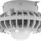 RAB HAZXLED26F 26W Ceiling Mount LED Hazardous Location Fixture, 5100K (Cool), 2687 Lumen, 70 CRI, Frosted Globes, No Guard,  DLC Listed, Natural Finish