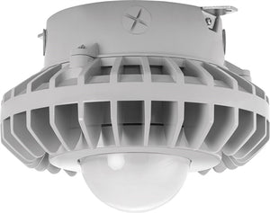 RAB HAZXLED26F 26W Ceiling Mount LED Hazardous Location Fixture, 5100K (Cool), 2687 Lumen, 70 CRI, Frosted Globes, No Guard,  DLC Listed, Natural Finish