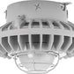 RAB HAZXLED26F-G 26W Ceiling Mount LED Hazardous Location Fixture, 5100K (Cool), 2334 Lumen, 70 CRI, Frosted Globes, Wire Guard,  DLC Listed, Natural Finish