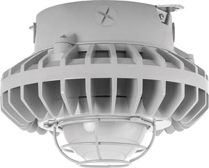 RAB HAZXLED26F-G 26W Ceiling Mount LED Hazardous Location Fixture, 5100K (Cool), 2334 Lumen, 70 CRI, Frosted Globes, Wire Guard,  DLC Listed, Natural Finish