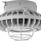 RAB HAZXLED26FF-G 26W Ceiling Mount LED Hazardous Location Fixture, 5100K (Cool), 2249 Lumen, 69 CRI, Frosted Lens, Wire Guard,  DLC Listed, Natural Finish
