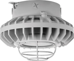 RAB HAZXLED26FF-G 26W Ceiling Mount LED Hazardous Location Fixture, 5100K (Cool), 2249 Lumen, 69 CRI, Frosted Lens, Wire Guard,  DLC Listed, Natural Finish