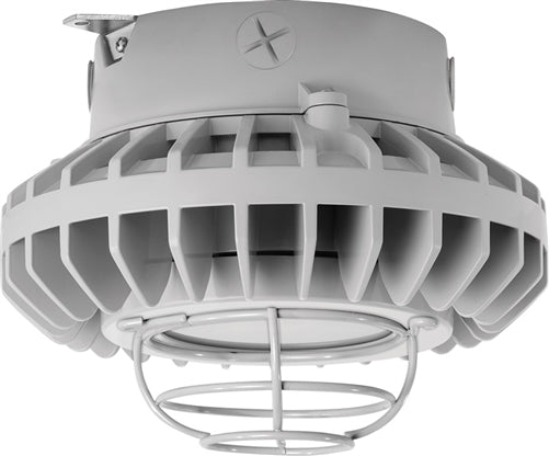 RAB HAZXLED26FF-G 26W Ceiling Mount LED Hazardous Location Fixture, 5100K (Cool), 2249 Lumen, 69 CRI, Frosted Lens, Wire Guard,  DLC Listed, Natural Finish