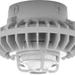 RAB HAZXLED42F-DG 42W Ceiling Mount LED Hazardous Location Fixture, 5100K (Cool), 2520 Lumen, 70 CRI, Frosted Globes, Die Cast Guard,  DLC Listed, Natural Finish