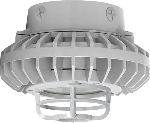 RAB HAZXLED42FF-DG 42W Ceiling Mount LED Hazardous Location Fixture, 5100K (Cool), 2986 Lumen, 69 CRI, Frosted Lens, Die Cast Guard,  DLC Listed, Natural Finish