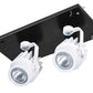 RAB MDLED2X12F-20YN-B-W 24W LED 2 Fixture Multi-Head Gear Tray, 3500K, 2072 Lumens, 90 CRI, 20 Degree Reflector, On/Off Non-Dimming, Black Tray/White Head Finish