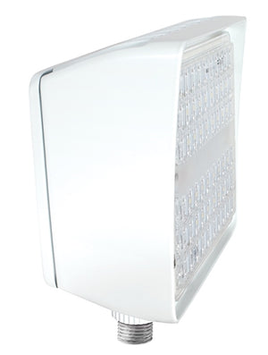 RAB PIP20NW/D10/PCU 20W LED PIP Floodlight, 120-277V Button Photocell, 4000K (Neutral), 2796 Lumens, 72 CRI, 120-277V, 7H x 7V Beam Distribution, Dimmable, DLC Listed, White Finish