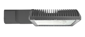 RAB RWLED2T50N 50W LED Universal Adaptor Lamp, 4000K (Neutral), Type II Light Distribution, Standard Operation, 120-277V, No Photocell, Bronze Finish