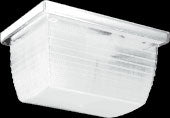 RAB VAN2F18W Vandalproof 18W Compact Fluorescent (CFL) Lamp White Color