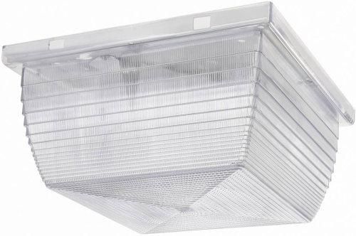 RAB VAN2F26QT Vandalproof 26W Compact Fluorescent (CFL) Lamp 120V-277V Clear Color