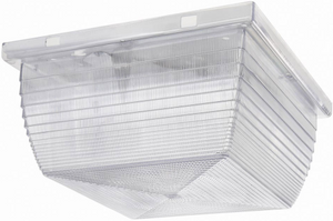 RAB VAN2F32QT Vandalproof 32W Compact Fluorescent (CFL) Lamp 120V-277V Clear Color