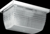RAB VAN4F42QT/PC Vandalproof 42W Compact Fluorescent (CFL) Lamp 120V-277V Clear Color with Photocontrol