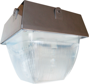 RAB VAN5S100/PCS Vandalproof 100W High Pressure Sodium Lamp 120V Bronze Color