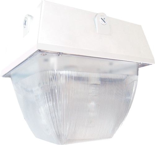 RAB VAN5S100W/PC Vandalproof 100W High Pressure Sodium Lamp 120V White Color