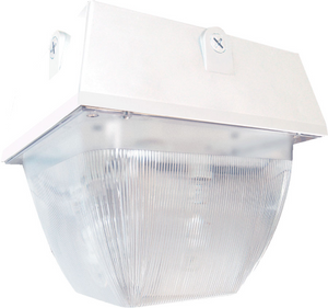 RAB VAN5S150W Vandalproof 150W High Pressure Sodium Lamp 120V White Color