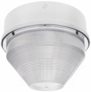 RAB VANGQL85W Vandalproof 85W Induction Lamp 120V White Color