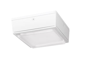 RAB VANLED40MSW 40W LED Canopy Light with 120V Mini Sensor, 5000K (Cool), 4379 Lumens, 75 CRI, Drop Lens, Standard Operation, Not DLC Listed, White Finish