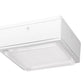 RAB VANLED52MSW 52W LED Canopy Light with 120V Mini Sensor, 5000K (Cool), 5401 Lumens, 75 CRI, Drop Lens, Standard Operation, Not DLC Listed, White Finish