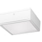 RAB VANLED65FW/480/PCS4 65W LED Canopy Light with 480V Swivel Photocell, 5000K (Cool), 6015 Lumens, 75 CRI, Flat Lens, Standard Operation, Not DLC Listed, White Finish
