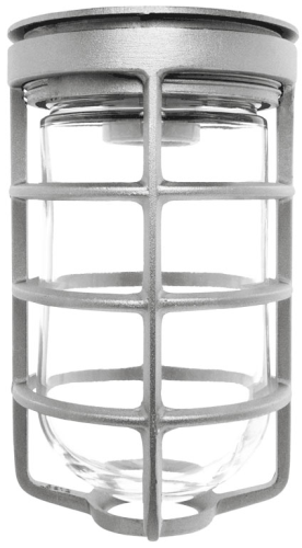 RAB VC100GS Vaporproof 100W Incandescent Lamp 120V Silver Color - With Soda Lime Glass and Wire Clamp Guard