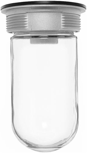 RAB VC200/F26/277 Vaporproof 26W Compact Fluorescent (CFL) Lamp 277V Natural Color - With Soda Lime Glass, No Guard