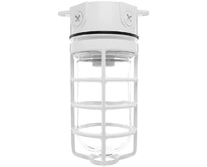 RAB VLX100DGW/F13 Vaporproof 13W Compact Fluorescent (CFL) Lamp 120V White Color - With Soda Lime Glass and Die Cast Guard