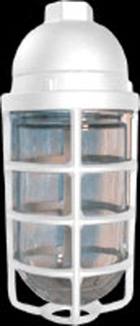 RAB VP100DGW Vaporproof 150W Incandescent Lamp 120V White Color - With Soda Lime Glass and Die Cast Guard