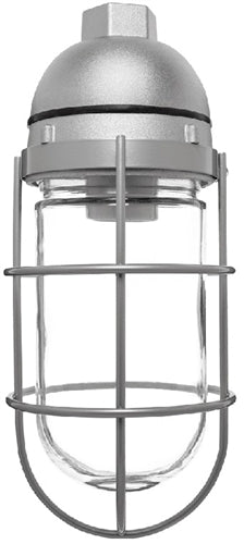 RAB VP100GW Vaporproof 150W Incandescent Lamp 120V White Color - With Soda Lime Glass and Wire Clamp Guard