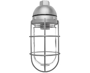 RAB VP200GW Vaporproof 200W Incandescent Lamp 120V White Color - With Soda Lime Glass and Wire Clamp Guard