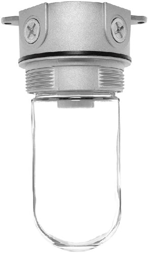RAB VX100-3/4 Vaporproof 150W Incandescent Lamp 120V Natural Color - With Soda Lime Glass, No Guard