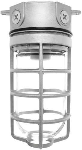 RAB VX100DGS Vaporproof 150W Incandescent Lamp 120V Silver Color - With Soda Lime Glass and Die Cast Guard