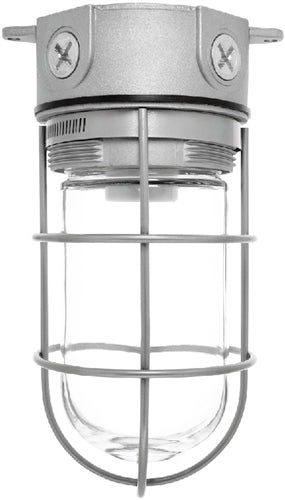 RAB VX100G Vaporproof 150W Incandescent Lamp 120V Natural Color - With Soda Lime Glass and Wire Clamp Guard