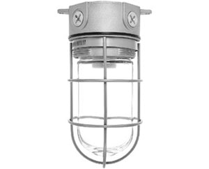 RAB VX100GS Vaporproof 150W Incandescent Lamp 120V Silver Color - With Soda Lime Glass and Wire Clamp Guard