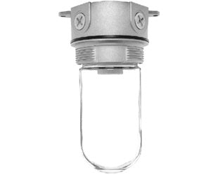 RAB VX200/F22 Vaporproof 22W Compact Fluorescent (CFL) Lamp 120V Natural Color - With Soda Lime Glass, No Guard