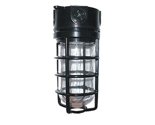 RAB VX200DGB Vaporproof 300W Incandescent Lamp 120V Black Color - With Soda Lime Glass and Die Cast Guard