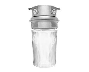 RAB VX200P Vaporproof 100W Incandescent Lamp 120V Natural Color - With Clear Flat Bottom Prismatic Polycarbonate Globe, No Guard