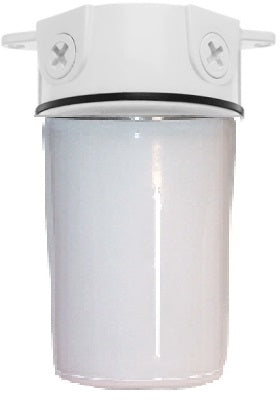 RAB VX200PW Vaporproof 100W Incandescent Lamp 120V White Color - With White Flat Bottom Prismatic Polycarbonate Globe, No Guard