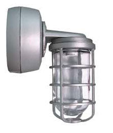 RAB VXBR2SN100 Vaporproof 100W High Pressure Sodium HID Lamp 120V Natural Color - With Glass Globe and Die Cast Guard