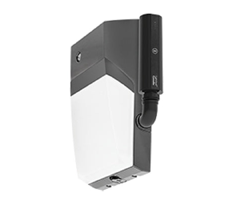 RAB WPTLED40N/D10/PC2/LC 40W LED Tallpack, 4000K Color Temperature, 120-277V Photocell, Lightcloud Controller, Bronze Finish