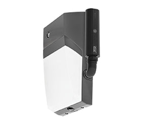 RAB WPTLED40Y/D10/PC2/LC 40W LED Tallpack, 3000K Color Temperature, 120-277V Photocell, Lightcloud Controller, Bronze Finish