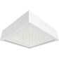 RAB VAN34-60FW Vandalproof Field-Adjustable Canopy Lights, 60/50/40W, 3000/4000/5000K, 5929-9145 lumens, Bronze