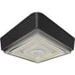RAB VAN40 Vandalproof Field-Adjustable Canopy Lights, 40/30/20W, 3000K/4000K/5000K, 2687-5696 lumens, Bronze