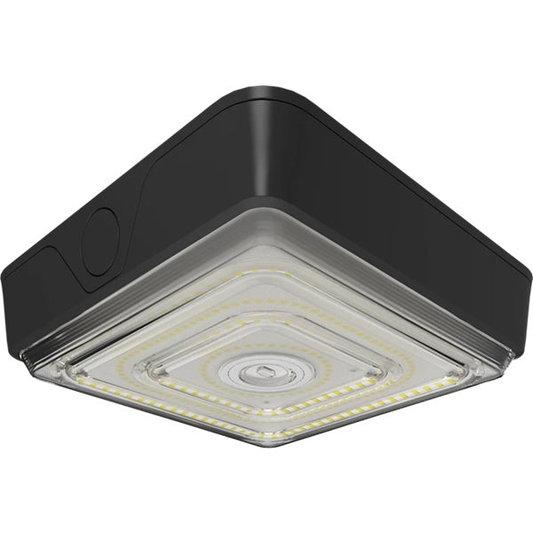 RAB VAN40 Vandalproof Field-Adjustable Canopy Lights, 40/30/20W, 3000K/4000K/5000K, 2687-5696 lumens, Bronze