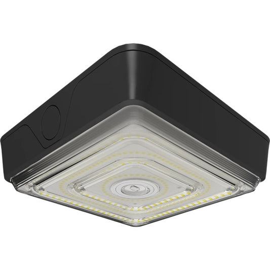 RAB VAN40 Vandalproof Field-Adjustable Canopy Lights, 40/30/20W, 3000K/4000K/5000K, 2687-5696 lumens, Bronze