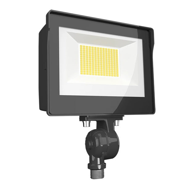 RAB X17FA15 15W LED Floodlight, 2123 Lumens, 120-277V, 3000K, 4000K and 5000K Color Temperature, 80 CRI, Bronze