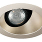 Juno Aculux Recessed Lighting 431NWHZ-SF (3AC WTD SF WET) 3-1/4" Line Voltage, Low Voltage, LED Downlight Angle Cut Lensed, Haze Alzak Reflector, Self Flanged Trim